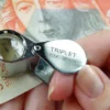 Lupa LU 24, 10x